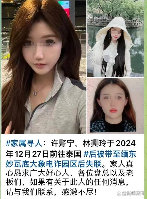 找丢失的亲人去哪个网站图标
