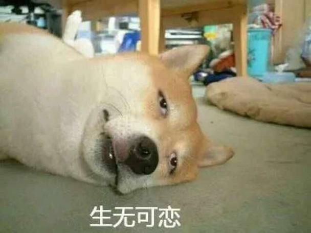 我已经生无可恋图标