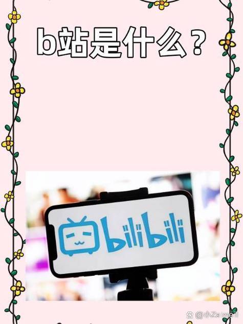 b站是哪个平台