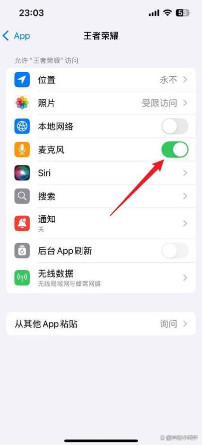 设置麦克风权限