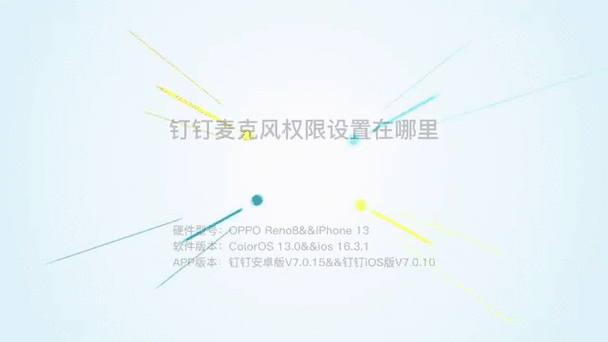 设置麦克风权限