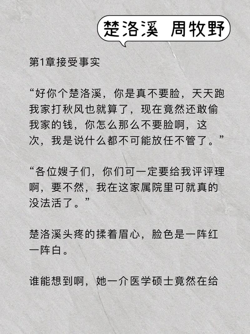 重生军嫂翻译官全文阅读