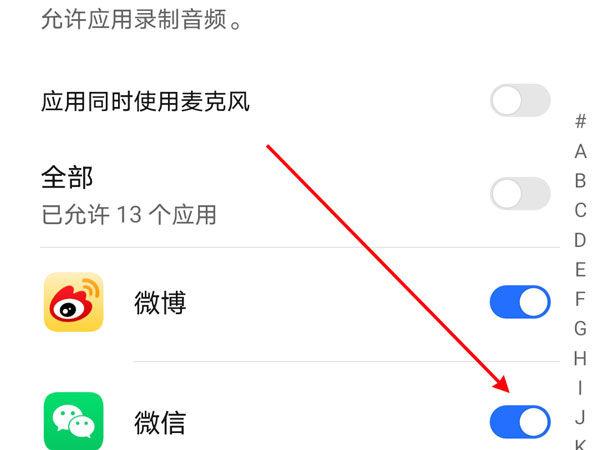 ipad上麦克风权限