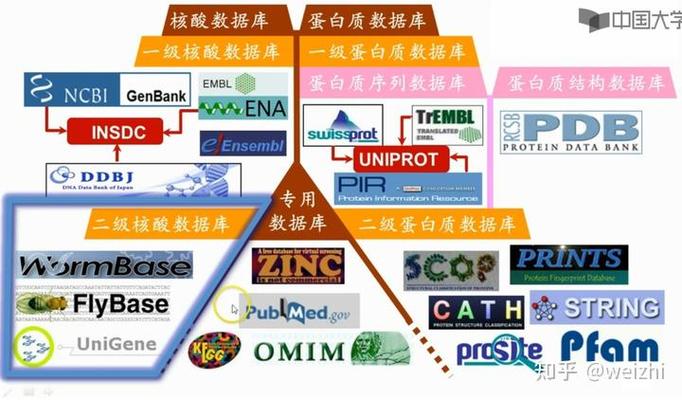 genebank数据库图标