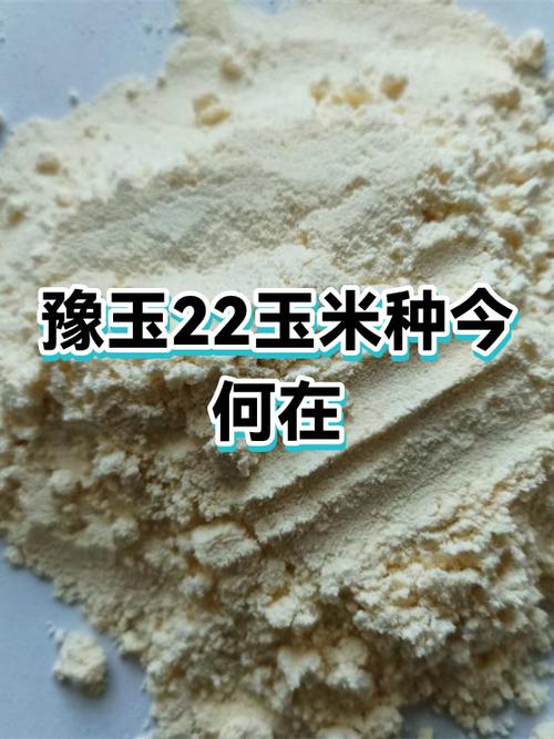 玉米密集恐惧症