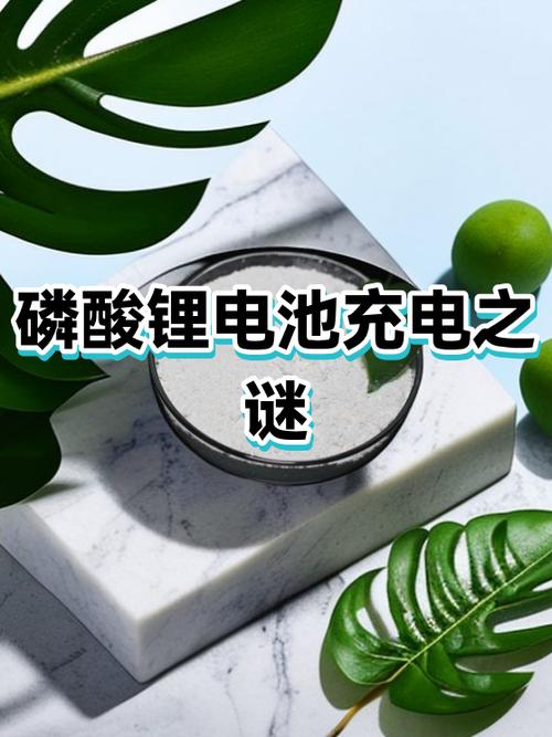 手机有时候显示充电但没充进去