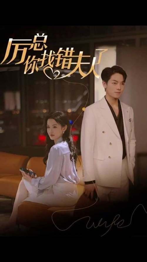 厉总你找错夫人了短剧免费全集图标