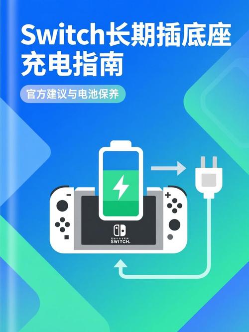 switch可以一直插在充电座上吗图标
