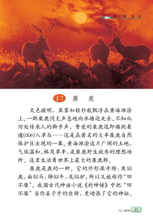 麋鹿阅读原文
