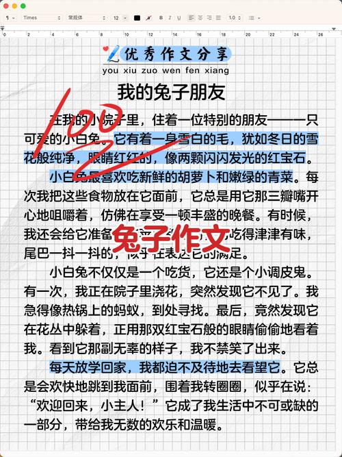 续写小白兔丢钱包图标