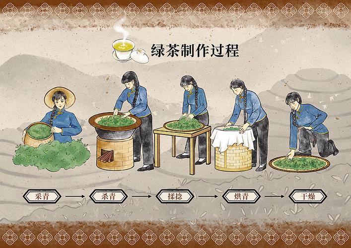 绿茶的制作过程