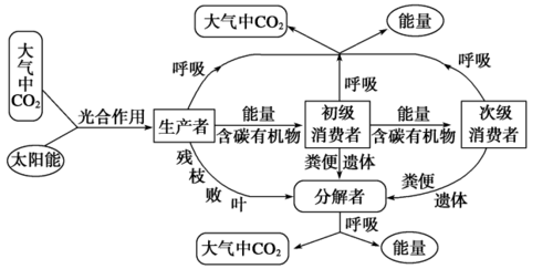 能量流动具有什么特点