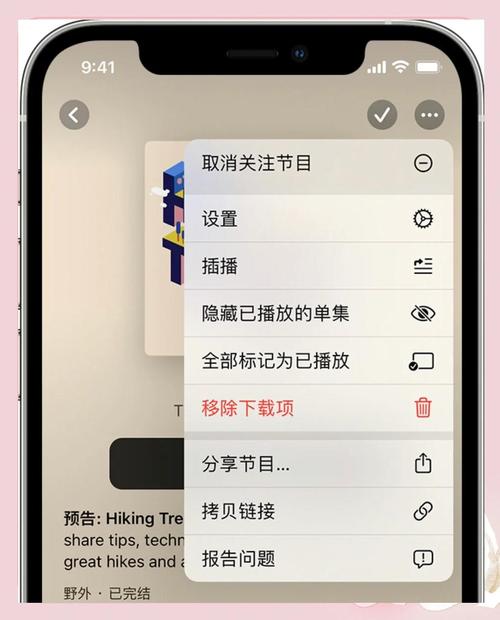 苹果播客怎么下载图标