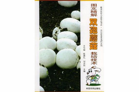 双孢菇栽培技术