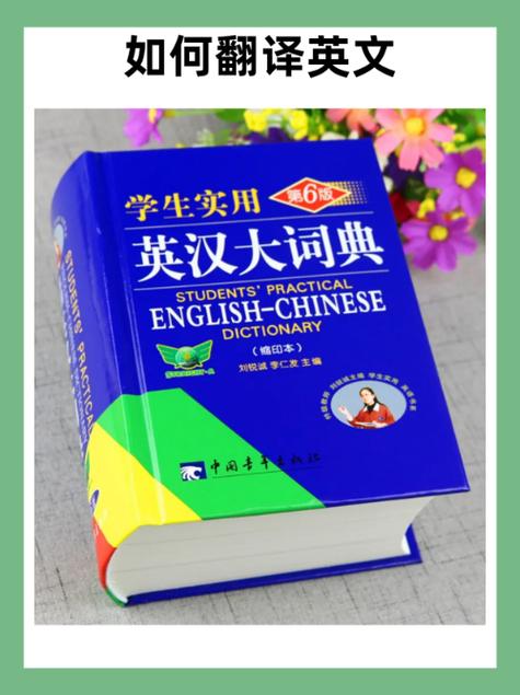 大译是杂牌子还是名牌