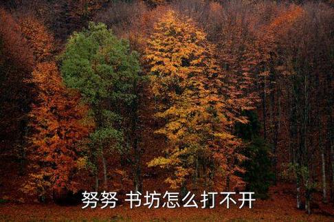 努努书坊 - 小说在线阅读