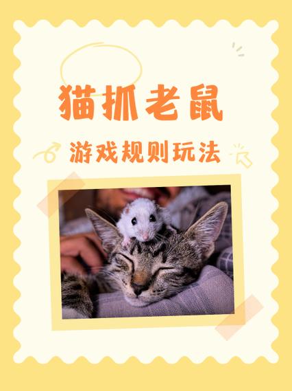 猫盒子设置游戏路径