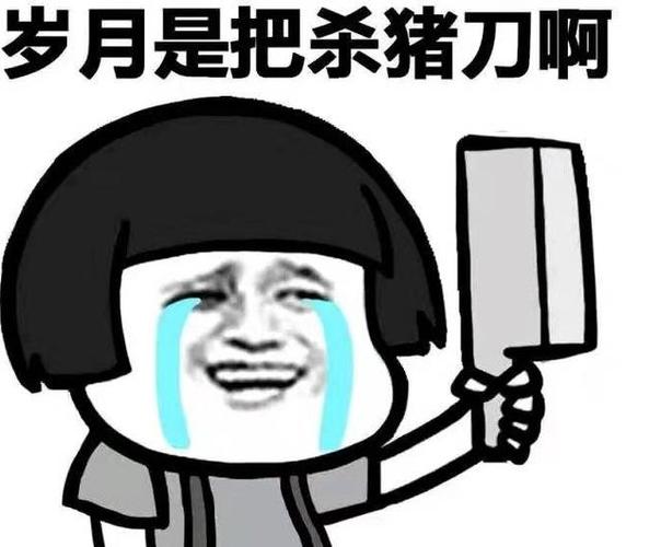 岁月杀猪刀押韵下一句