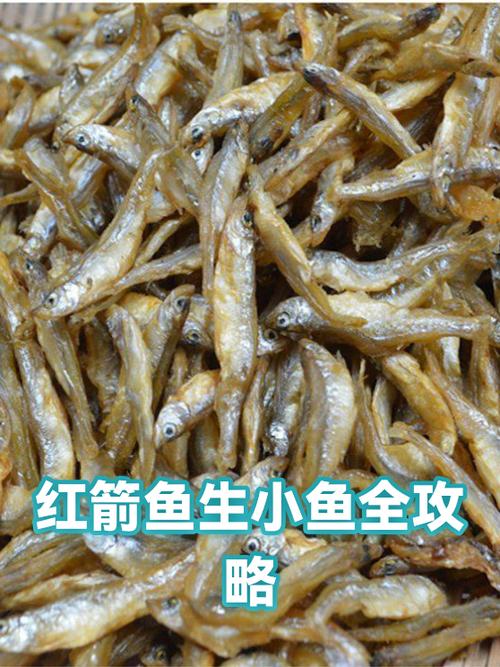 小鱼赚钱靠谱吗