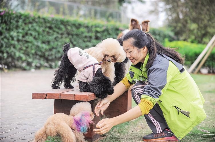 源源遛狗赚钱吗