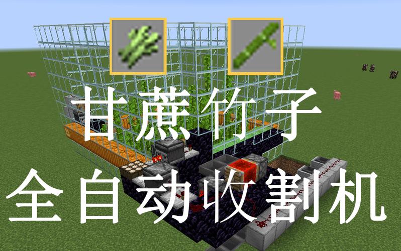 我的世界自动甘蔗收割机