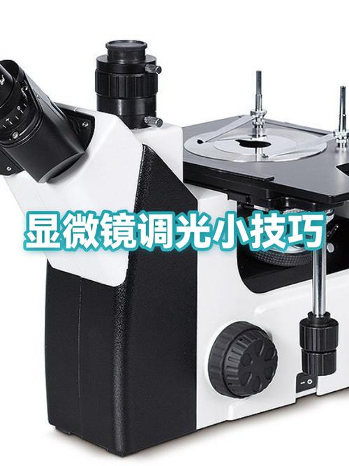 显微镜对光步骤