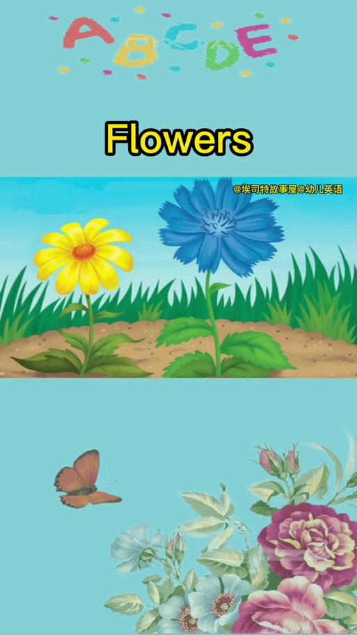 flowers的正确发音
