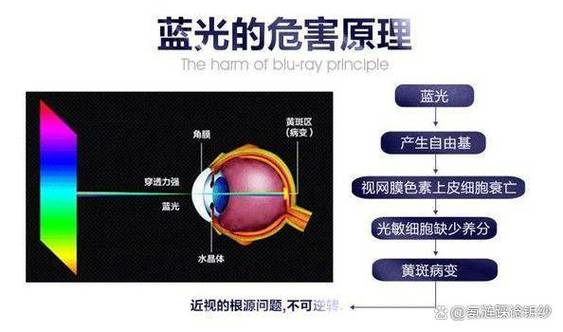 防蓝光模式有用吗