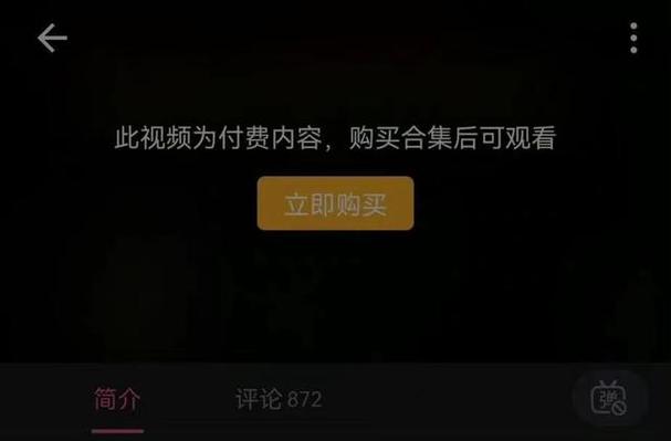 b站付费观看是什么意思