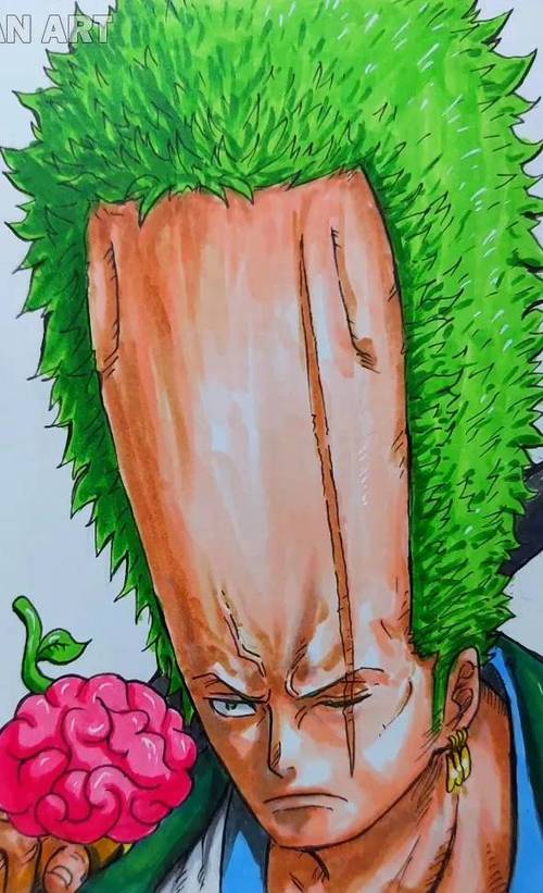 索隆恶魔果实