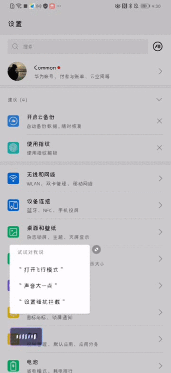 华为p30手机怎么样朗读文字图标