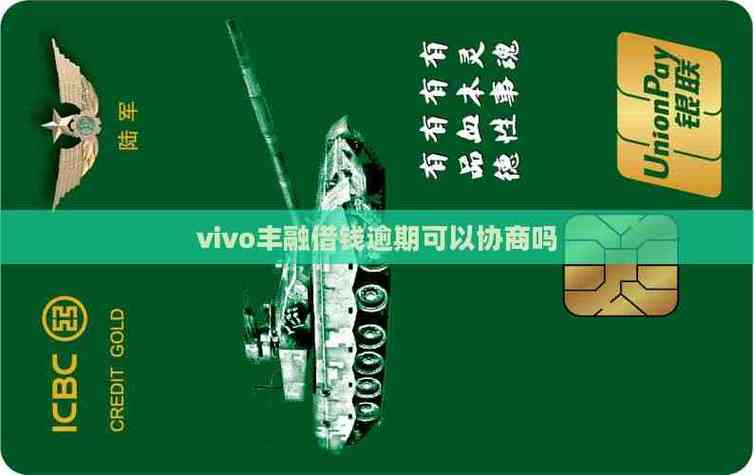 vivo丰融借钱好下款吗