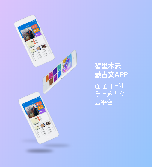 蒙古国软件