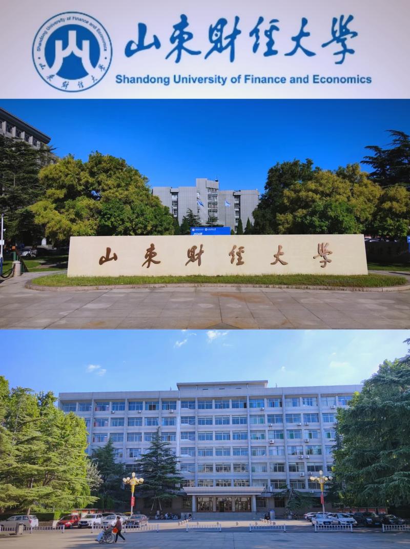 山东财政缴费图标