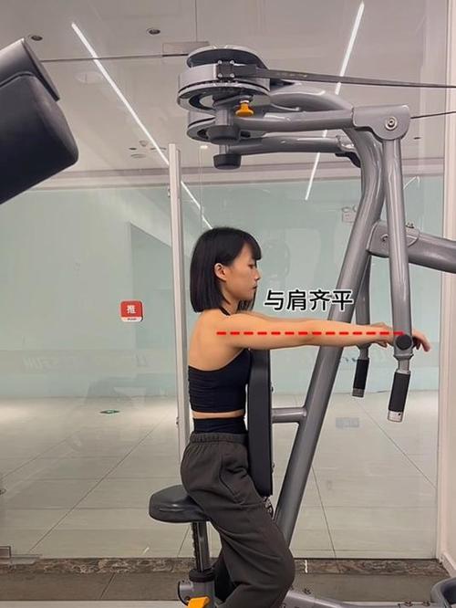 器械反向飞鸟练什么部位