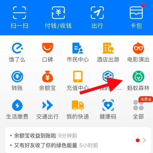 支付宝可以换皮肤吗图标