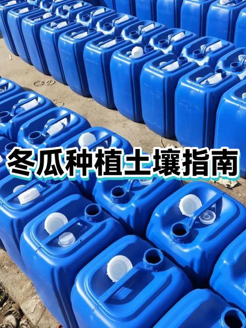 小冬瓜种植方法