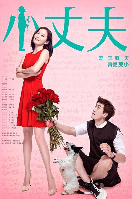 小丈夫电视剧全集剧情免费观看