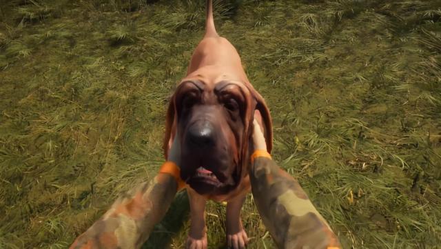 猎人荒野的呼唤dlc