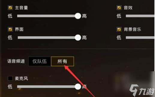 和平精英怎么打开麦克风