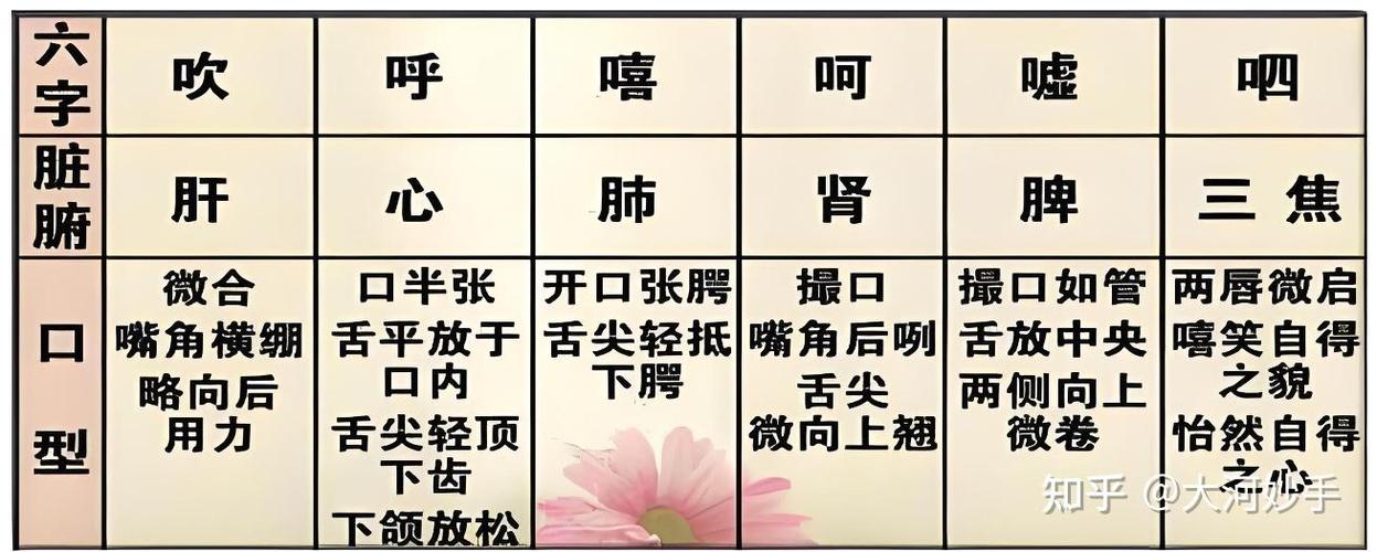六字诀正确发音图标