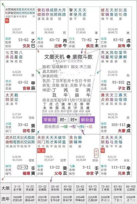 紫微斗数免费排盘软件