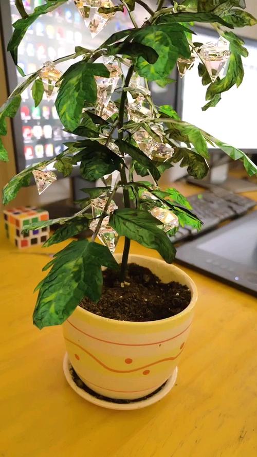 钻石树图标