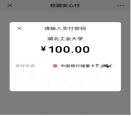 校园安心付处理中什么意思