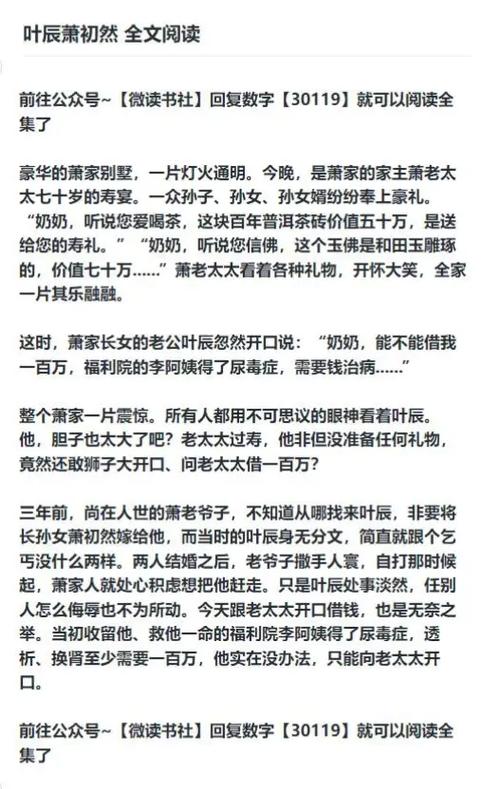 叶辰小说免费阅读全文免费阅读