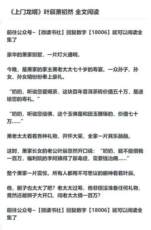 叶辰小说免费阅读全文免费阅读