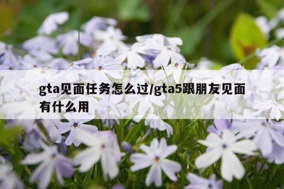 gta5可以和好友一起做任务吗