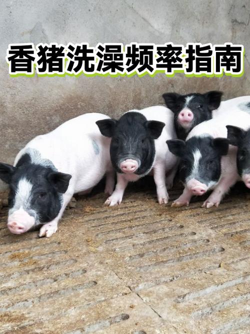 洗澡最好几天洗一次