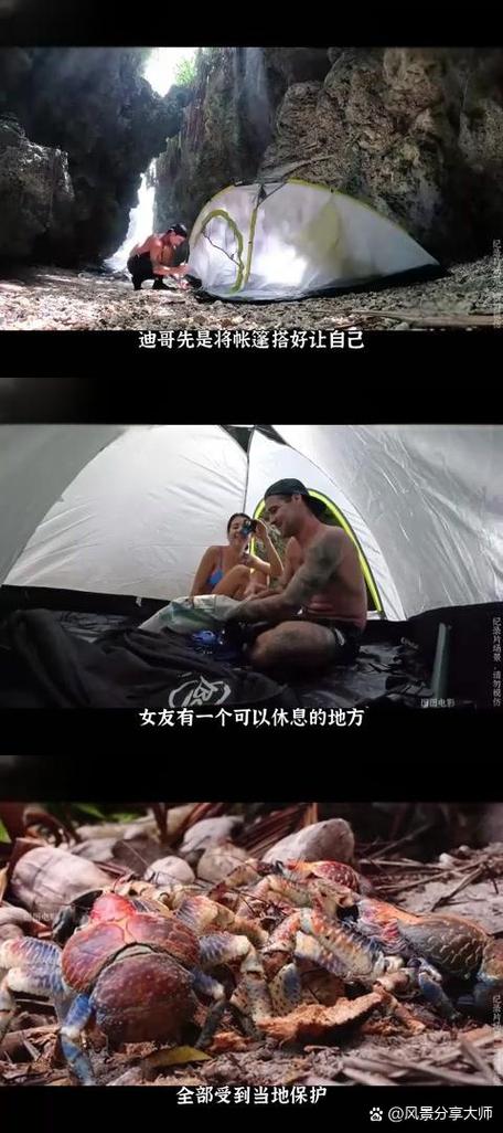 和美女一起荒岛求生