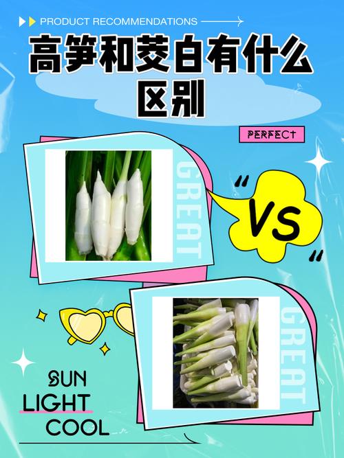 黄明昊和侯明昊的区别